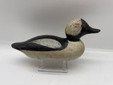 Mason bufflehead