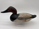 Mason Challenge Grade Canvasback Drake