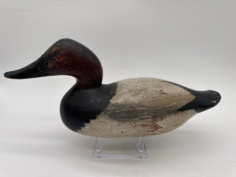 Mason Challenge Grade Canvasback Drake
