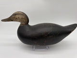 Mason Premier black duck