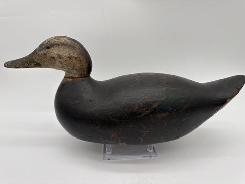 Mason Premier black duck