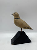 shorebird peep