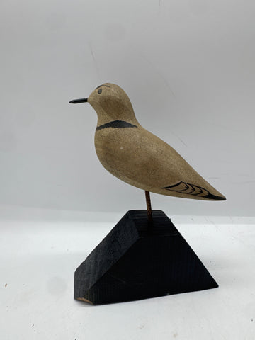 shorebird peep
