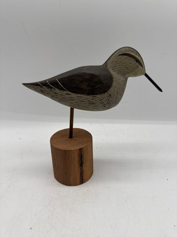 Peep shorebird