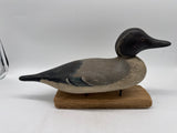 Mason pintail drake