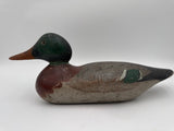 Mason mallard drake