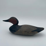 Peterson canvasback