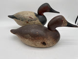 Mason Pair Premier early Canvasbacks
