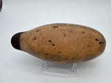 Mason green wing teal