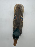 Mallard drake