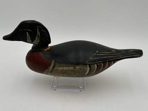 Wood Duck Drake by Dodge
