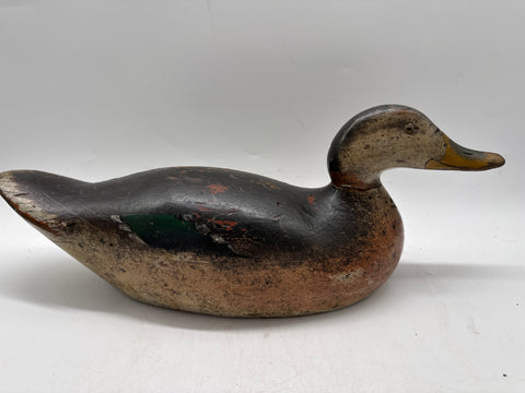 Mason premier mallard hen