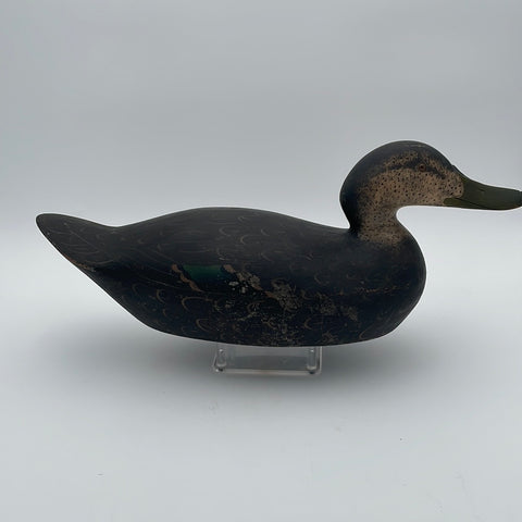 Mason premier black duck