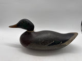 mason challenge grade mallard
