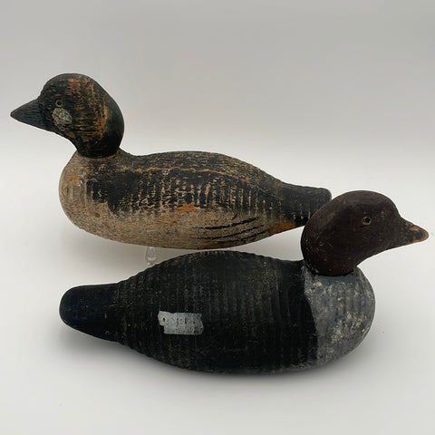 Rare Golden Eye Pair by the Animal Trap Company Drake