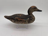 Mason challenge grade blue wing teal hen