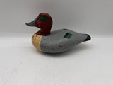 Green wing teal