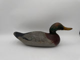 Mason Challenge Grade Mallard Drake