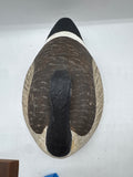 sleeping canada goose