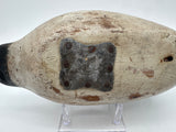 Mason Challenge Grade Canvasback Drake