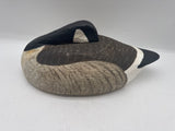 sleeping canada goose