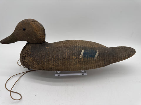 Mallard hen by Animal Trap Company