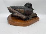 Bronze wood duck