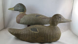 Hudson Mallard pair