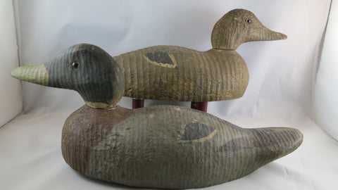 Hudson Mallard pair