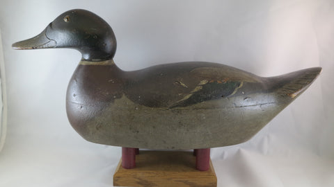 Mason Premier Mallard Drake