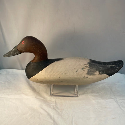 Antique Canvasback Drake from the Eastern shore