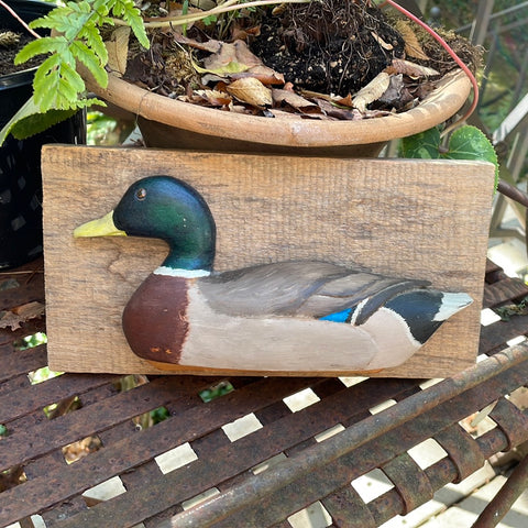 duck plaque